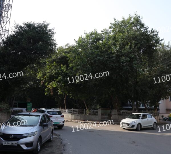 WhatsApp Image 2026-02-10 at 1.00.05 AM