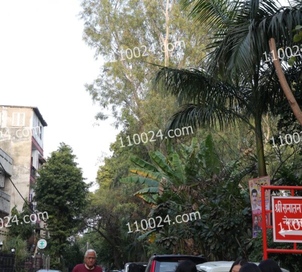 WhatsApp Image 2026-02-10 at 1.00.49 AM