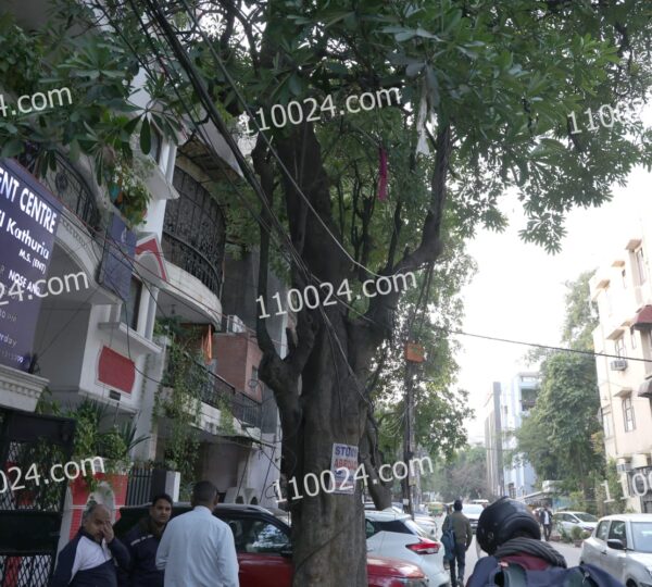 WhatsApp Image 2026-02-10 at 1.00.51 AM