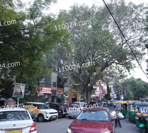 WhatsApp Image 2026-02-10 at 12.55.15 AM