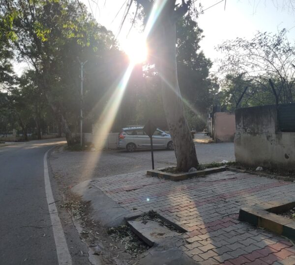 WhatsApp Image 2026-03-12 at 4.52.48 PM